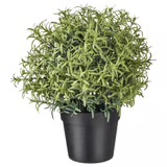 IKEA FEJKA Artificial Rosemary Potted Plant Lifelike 3.5" No Maintenance Needed - Picture 1 of 2
